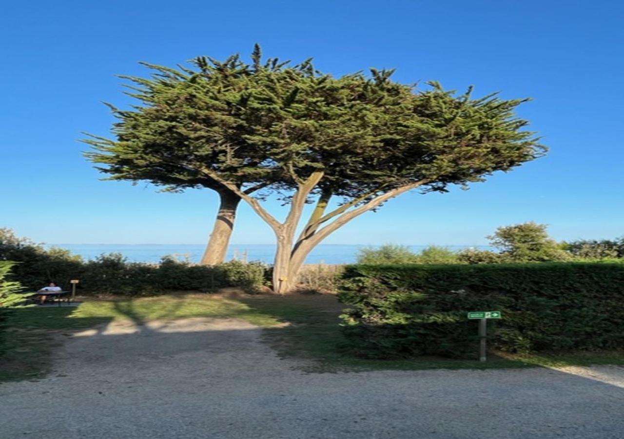 Mobilhomes Quiberon Camping Conguel - Bord De Mer Bagian luar foto
